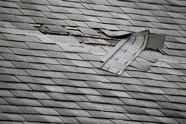 Professional Roof Replacement Process