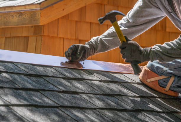 Professional Roof Inspection